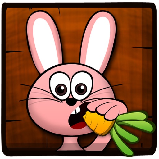 Ninja Rabbit icon