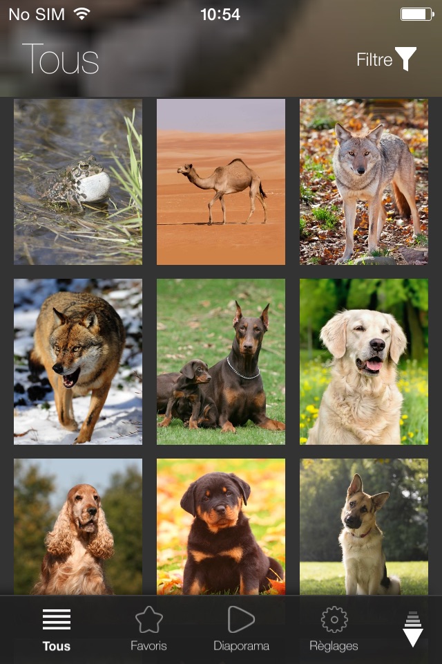 Animal Explorer Free: Sounds and Photos screenshot 4