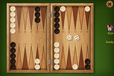 Spades Solitaire Backgammon Set screenshot 4