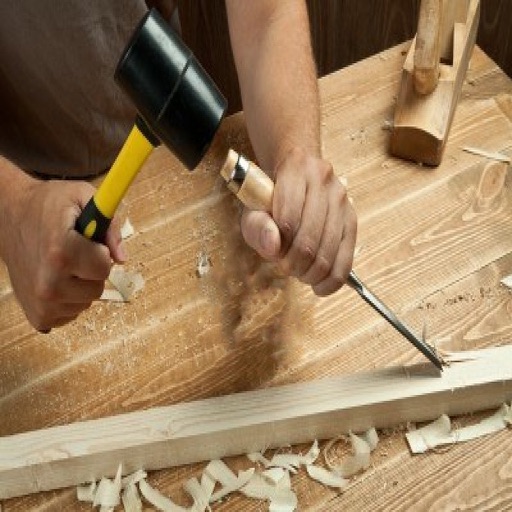 Carpenter Training icon