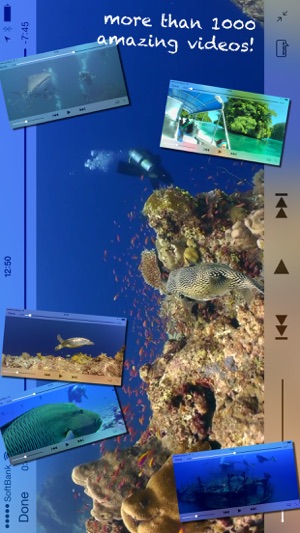 Scuba Diving - Amazing underwater world(圖2)-速報App