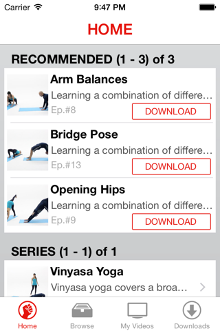 Vinyasa Yoga Lessons screenshot 2