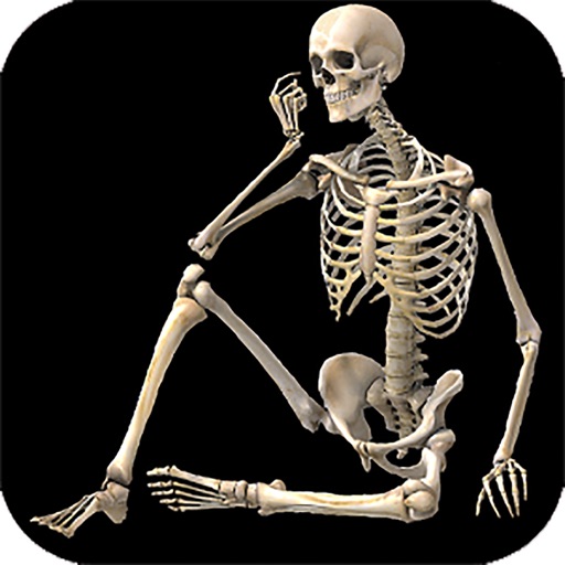 Anatomy Tutorial: Skeletal System - Human Anatomy Dictionary icon