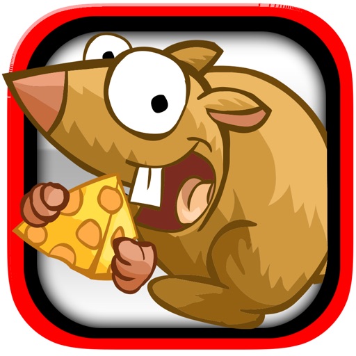 Save The Cheese Mania Pro - New mind challenge speed game Icon