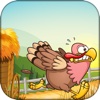 Run Chicken Run - Chicken Shooter Game