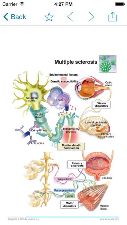 Miniatlas Central Nervous System screenshot-3