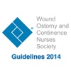 Evidence-Based Wound Care Guidelines and Fecal Ostomy Best Practice