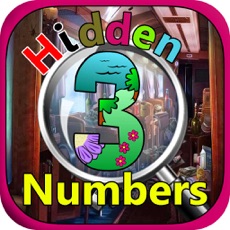 Activities of Hidden Numbers Game