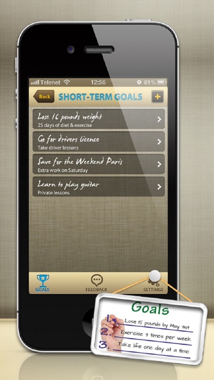 Wonderful Life - Goal Setting Plan (for Winners)