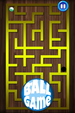 Ball Game Pro screenshot 4