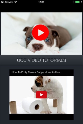 How To Potty Training A Puppy - Complete Guide screenshot 3