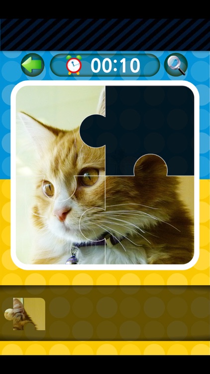 Cats Photo Puzzle(Сat Jigsaw Puzzles)