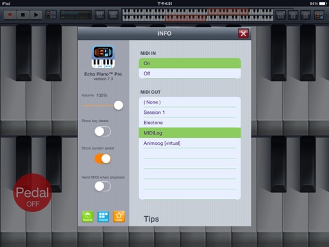 Echo Piano™ Pro screenshot 4
