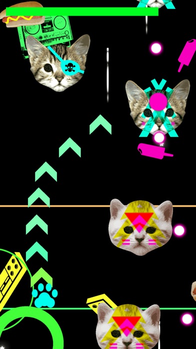 DUDE CAT! screenshot1