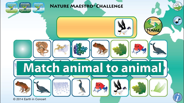 Nature Maestro Challenge screenshot-0