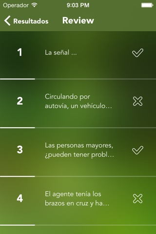 iB : Examen teórico de conducir screenshot 3