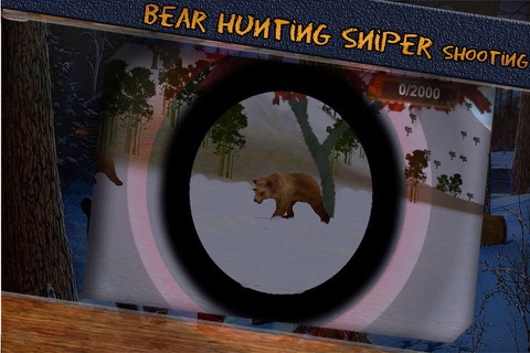 Wild Bear Hunting 3D - Sniper Shooting Survival 2015 screenshot 3