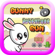 Activities of Bunny Adventure Run