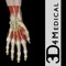 This app now includes the following animations: