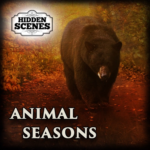 Hidden Scenes - Animal Seasons