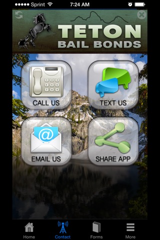 Idaho Bail screenshot 4
