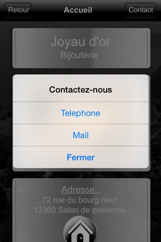 Joyau d'or screenshot 4