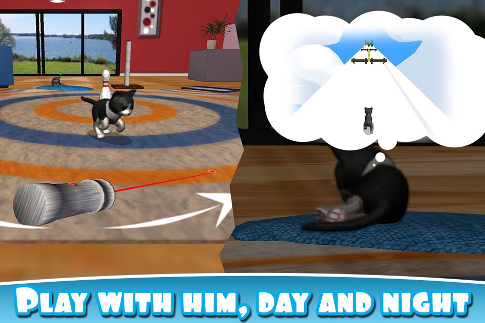 Daily Kitten : virtual cat pet screenshot 3