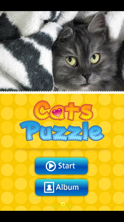 Cats Photo Puzzle(Сat Jigsaw Puzzles)