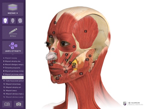 Interaktywna Anatomia screenshot 3