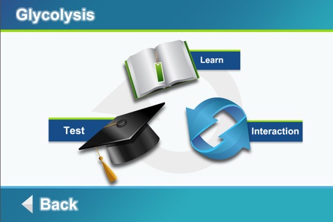 Biology Cellular Respiration L screenshot 2