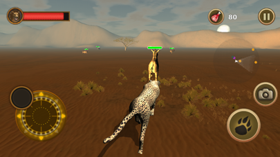 Cheetah Chase screenshot 4