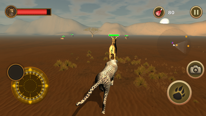 Cheetah Chase