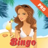 A Party on the Beach with Sexy Girl - BINGO PRO