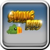 Swing Bird - The New Adventure