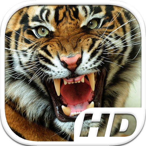 Tiger Simulator HD Animal Life icon