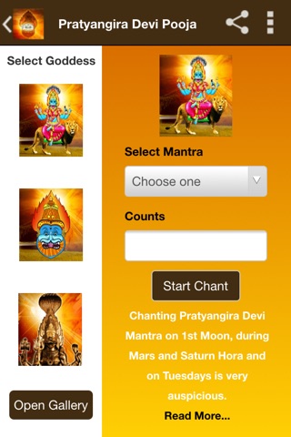 Pratyangira Devi Pooja and Mantra screenshot 3
