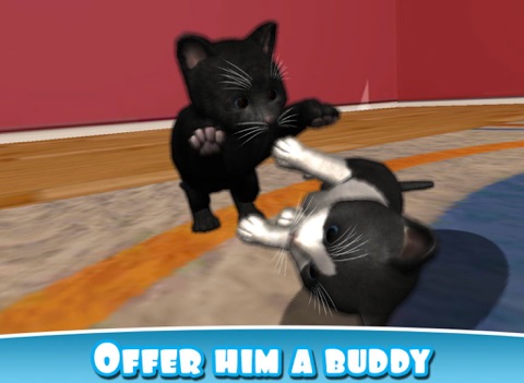 Скачать игру Daily Kitten : virtual cat pet