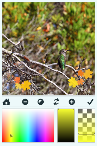 InDaFrame - Frame Inspiration: Photo and Video Overlays and Stamps Editor screenshot 3