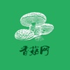 中国香菇网