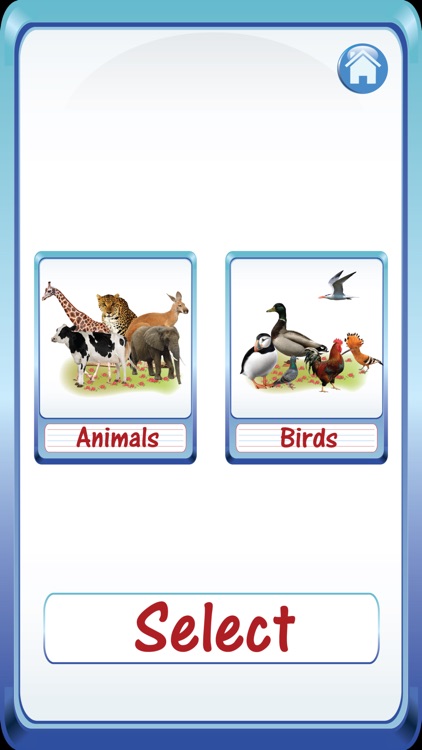 Kids safari jungle wild animals zoo & birds flashcards for preschool kindergarten baby