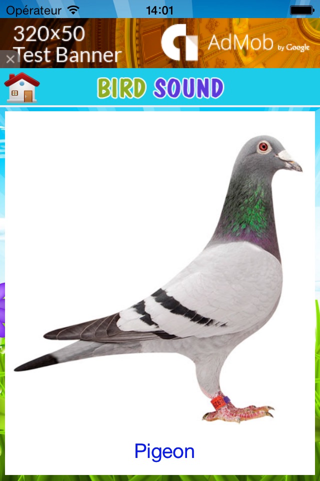 Best animal sound for kids screenshot 3