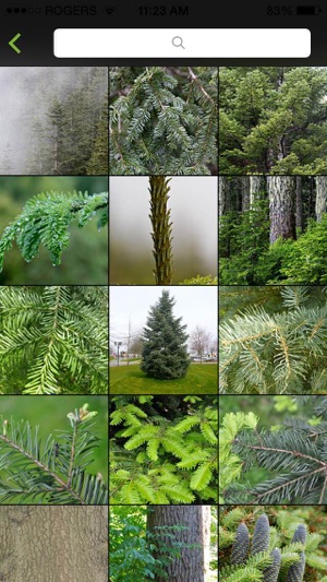 Vancouver Trees(圖2)-速報App