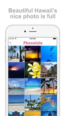 Game screenshot Phonolulu - Hawaii’s Photo Album App apk