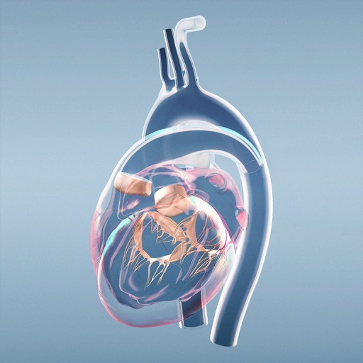 ERC AR Heart icon