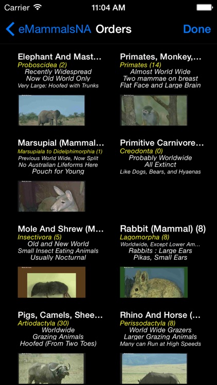 Mammals of North, Central & South America - A Mammal App