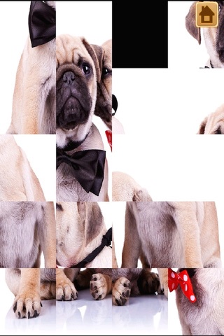 A Cute Dogs Slide Puzzle Pro - Silly Shih Tzu, Terriers and Bulldogs Posing For The Camera screenshot 3
