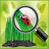 Natural Beauty Hidden Objects Game