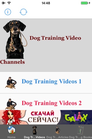 All Dog Training Tips and Tricks screenshot 2