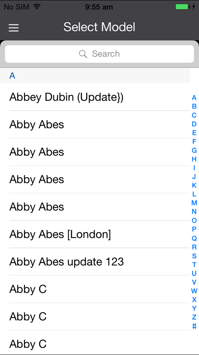 IMG Models Read Model