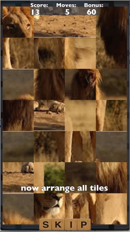 Jigsaw Puzzle Picture screenshot-0